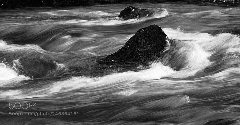 Sony ILCA-77M2 sample photo. Mossy rocks in the photography