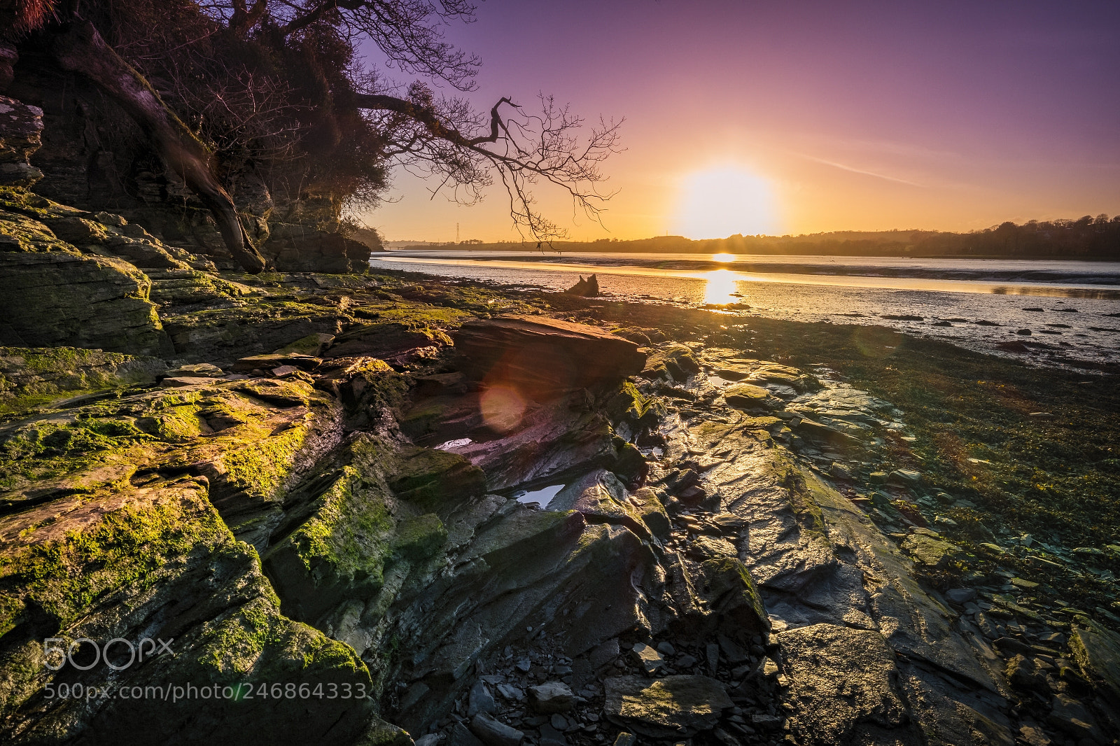 Fujifilm X-T1 sample photo. From the foreshore at photography