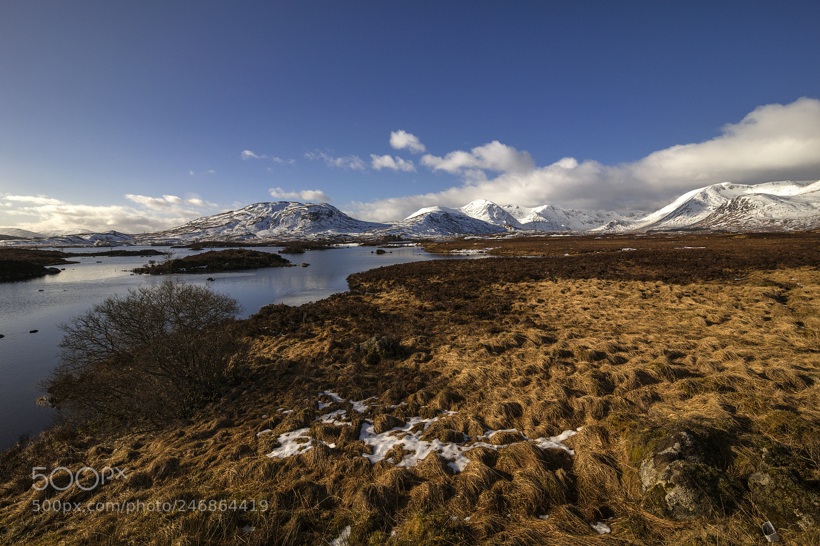 Canon EOS 5DS R sample photo. Greetings from scotland photography