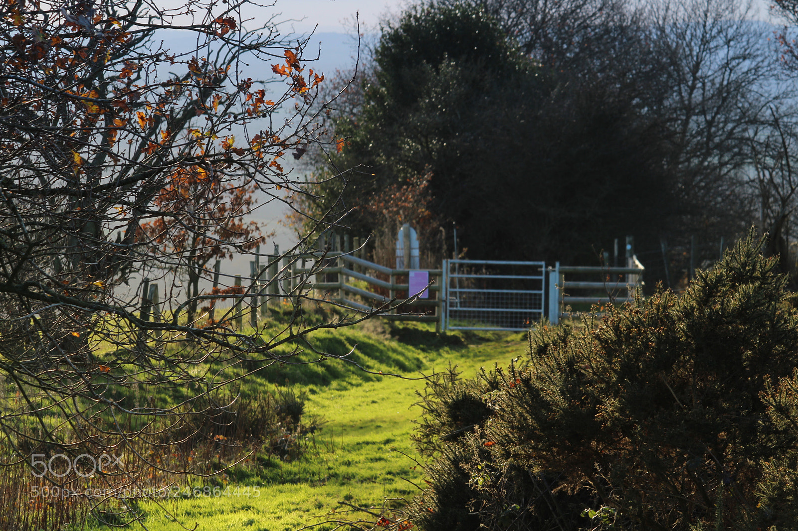 Canon EF-S 55-250mm F4-5.6 IS II sample photo. Clent hills photography