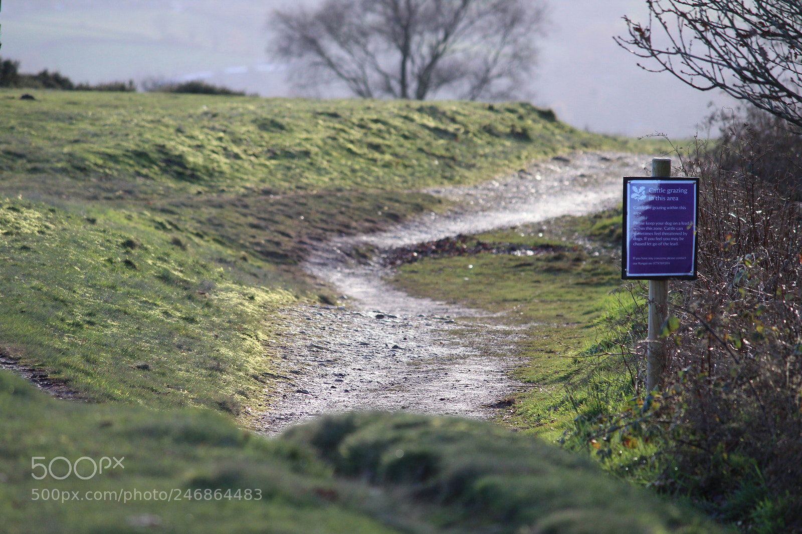 Canon EF-S 55-250mm F4-5.6 IS II sample photo. Clent hills photography