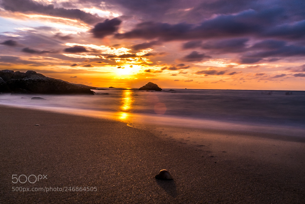 Fujifilm X-Pro1 sample photo. 23852649082.jpg photography