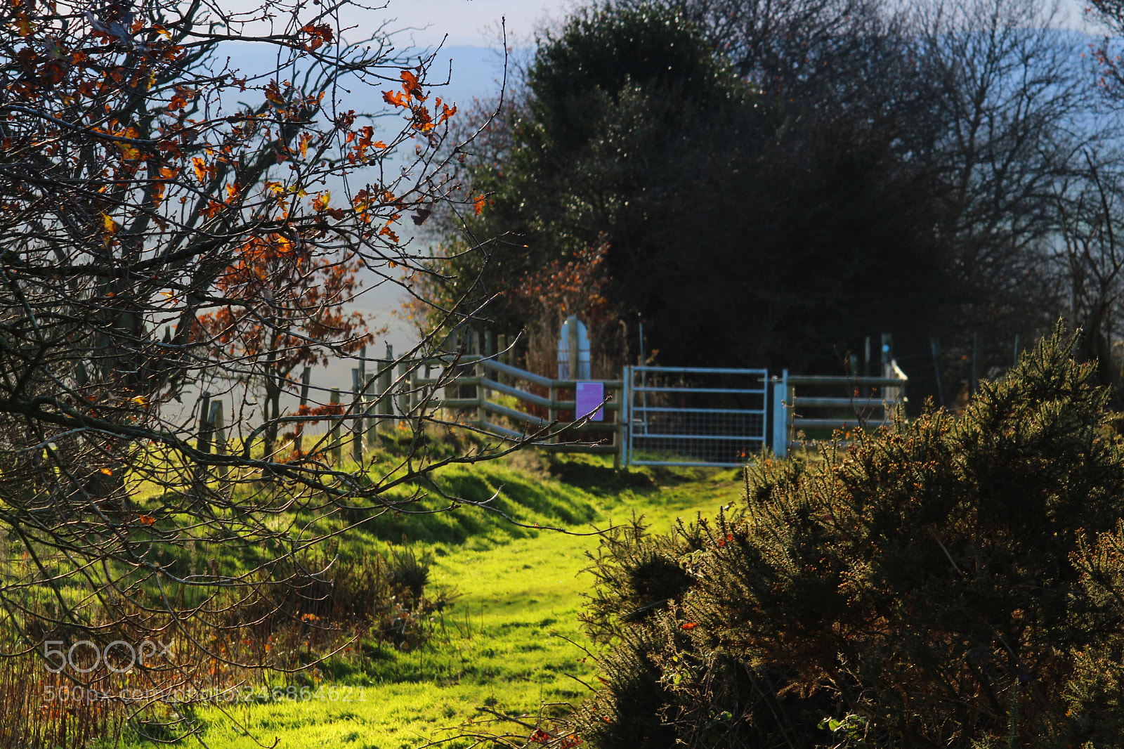 Canon EOS 1300D (EOS Rebel T6 / EOS Kiss X80) sample photo. Clent hills photography
