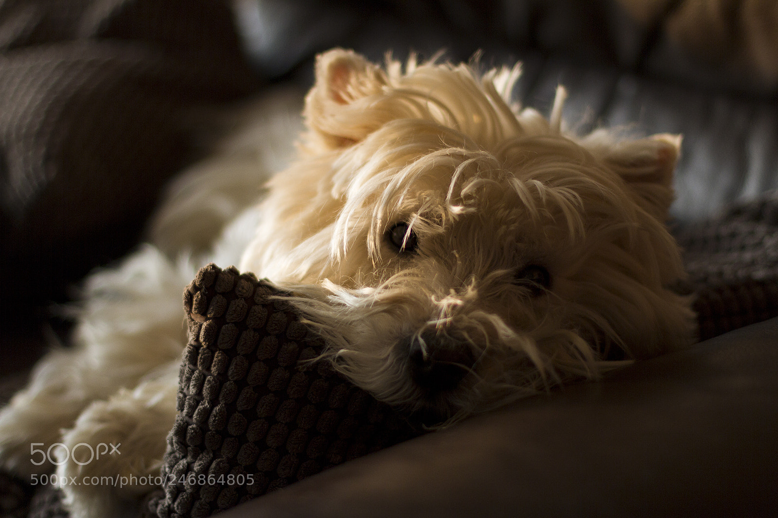 Canon EOS 7D sample photo. Chill morning photography