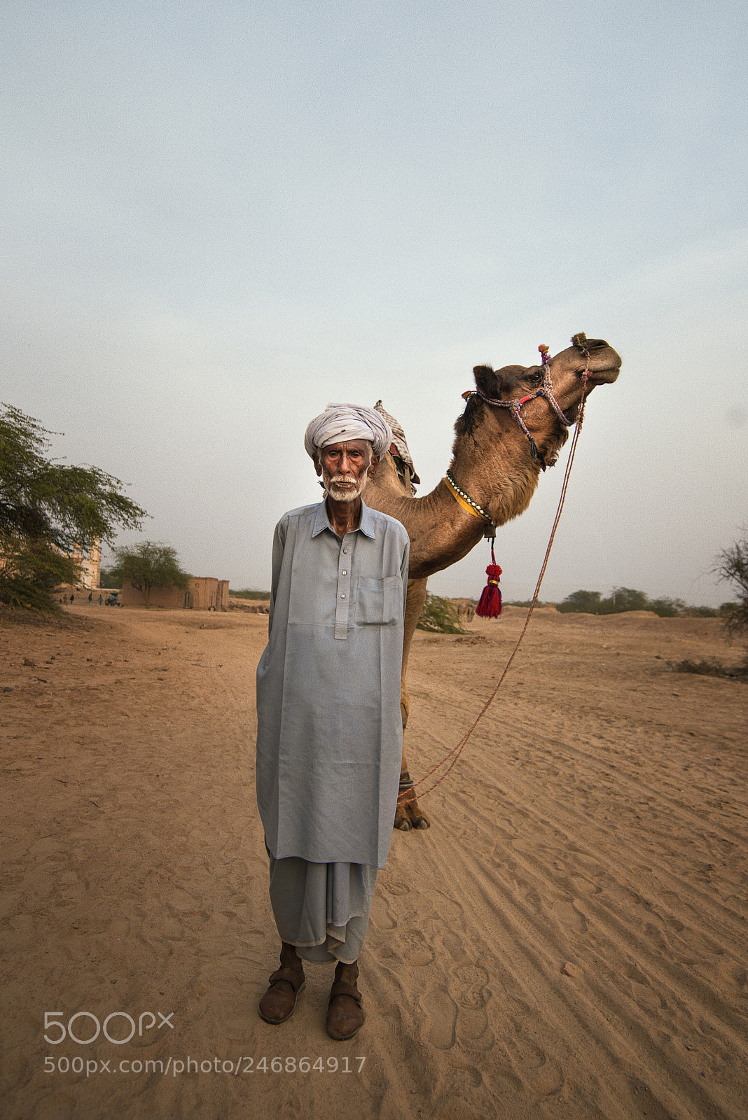 Nikon D800E sample photo. Old man & camel photography