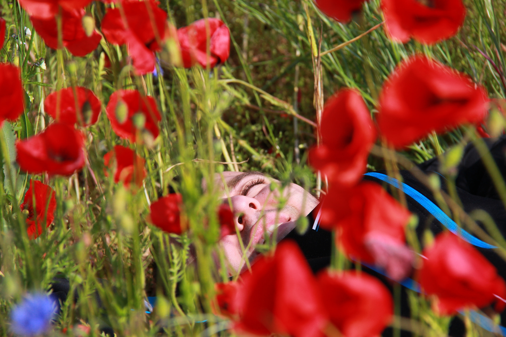 Canon EF-S 18-200mm F3.5-5.6 IS sample photo. Close to the poppy flower photography