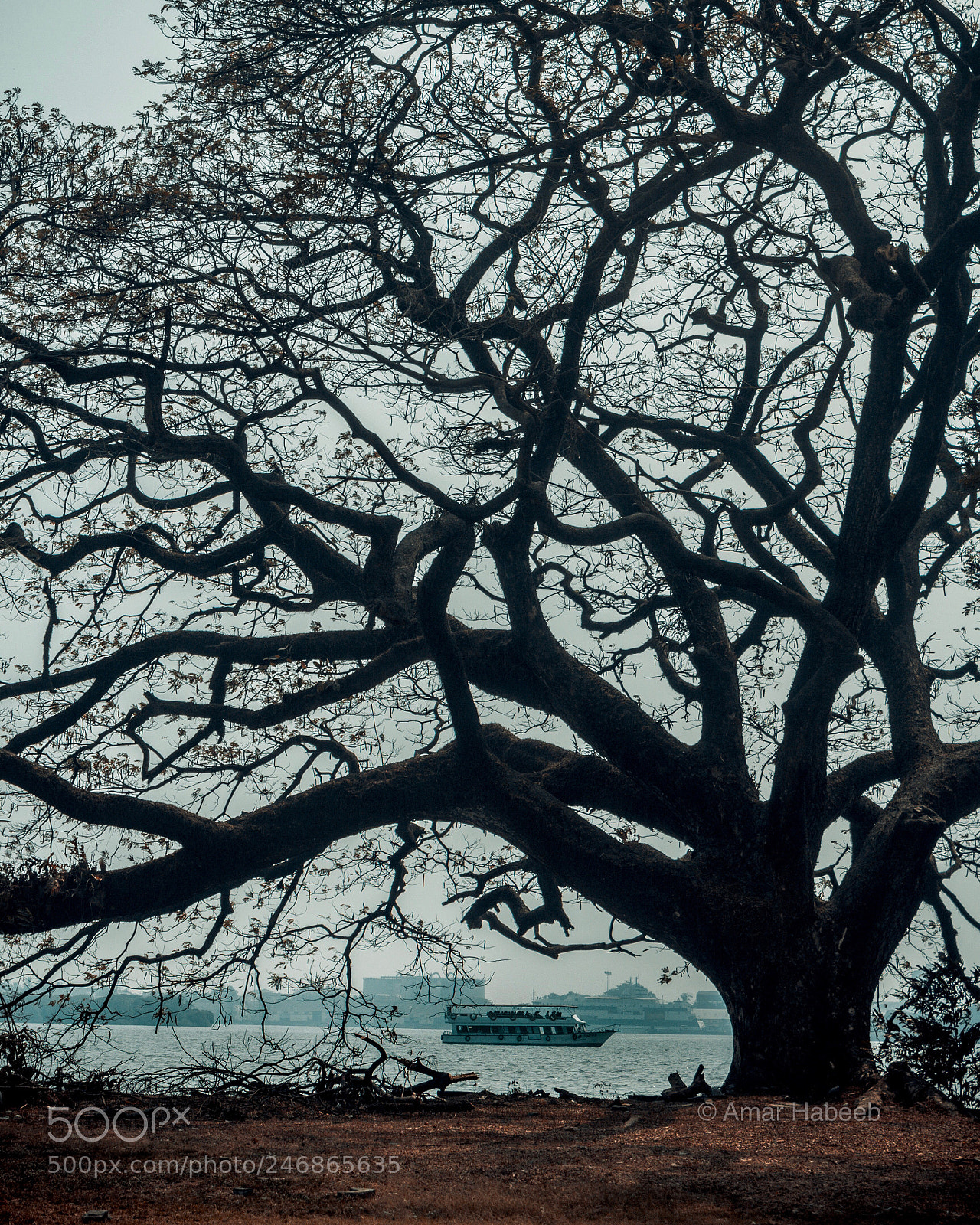 Canon EOS 650D (EOS Rebel T4i / EOS Kiss X6i) sample photo. View from bolgatty island photography