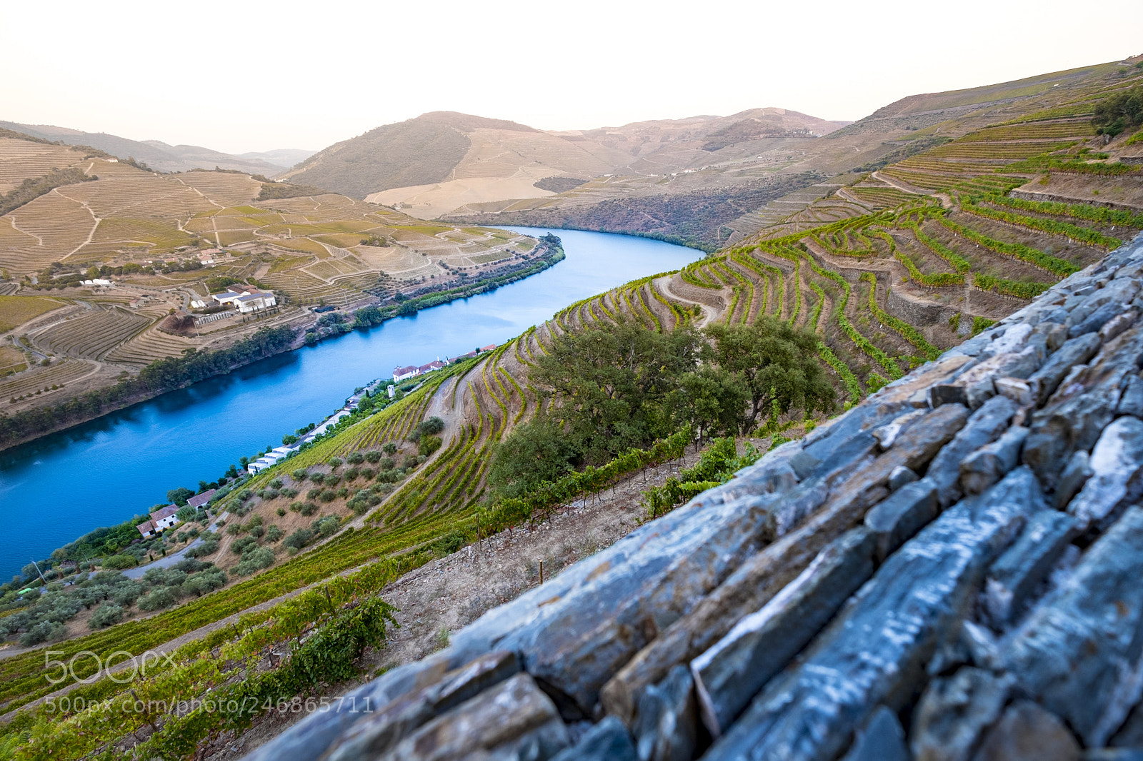 Fujifilm X-T2 sample photo. Vineyards in the douro photography