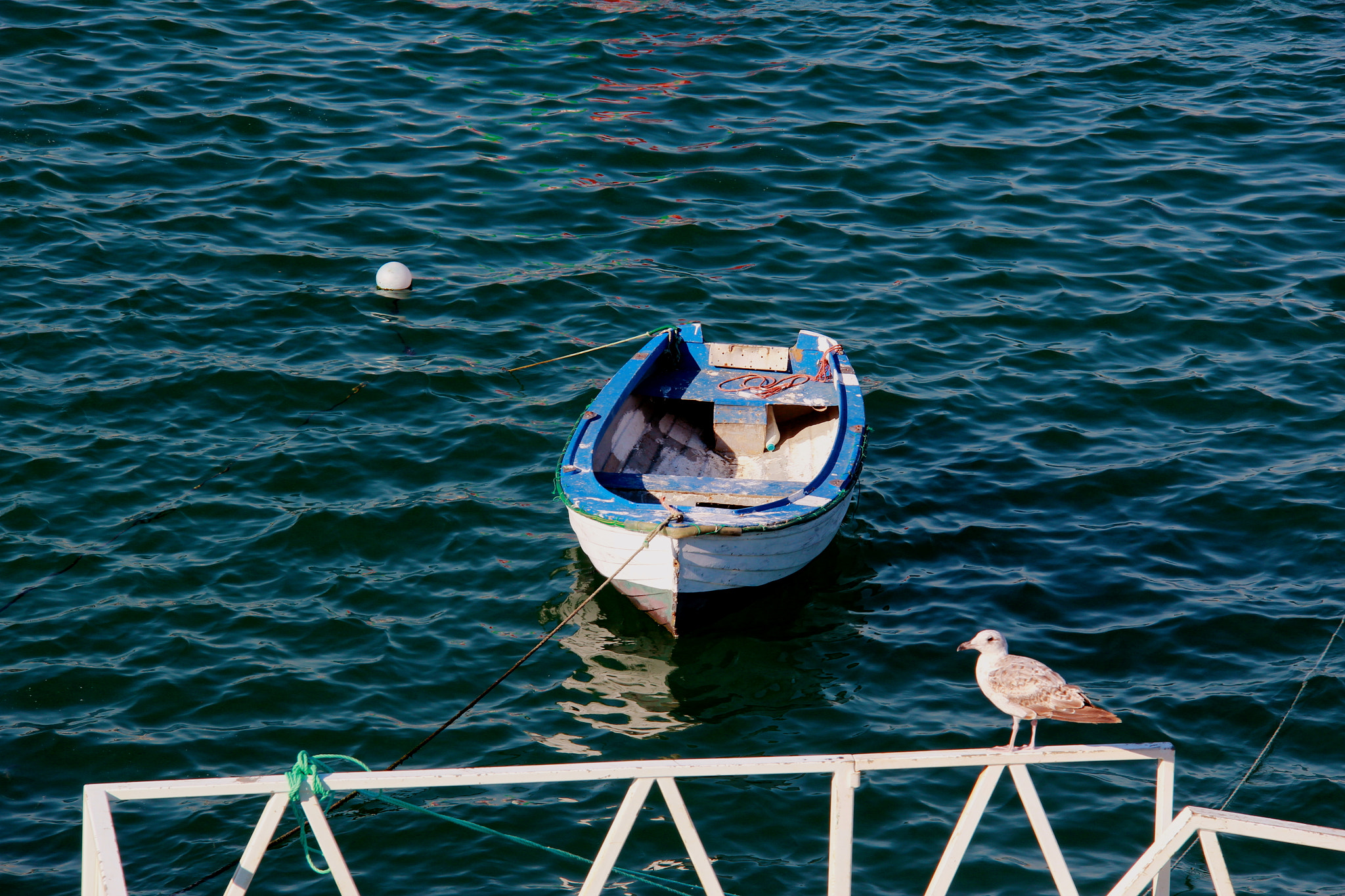 Canon EF-S 18-200mm F3.5-5.6 IS sample photo. Portofolio photography