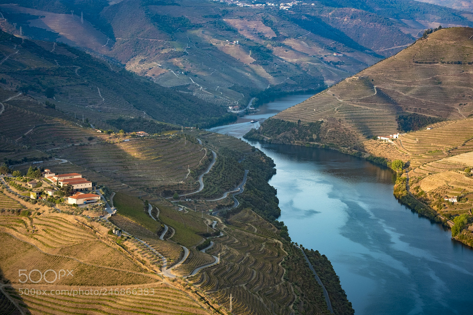 Fujifilm X-T2 sample photo. Vineyards in the douro photography