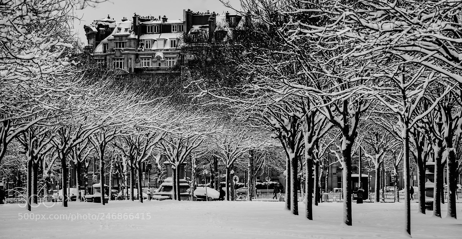 Nikon D810 sample photo. Snow in paris photography