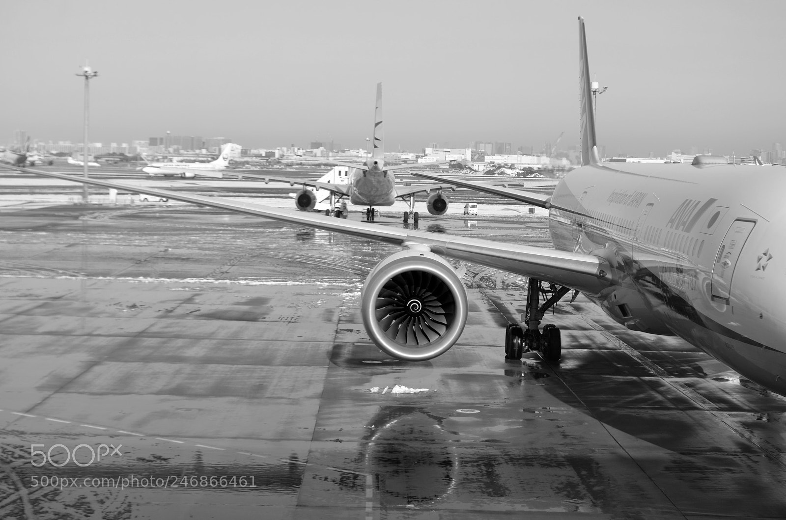 Nikon D5100 sample photo. 24k photography