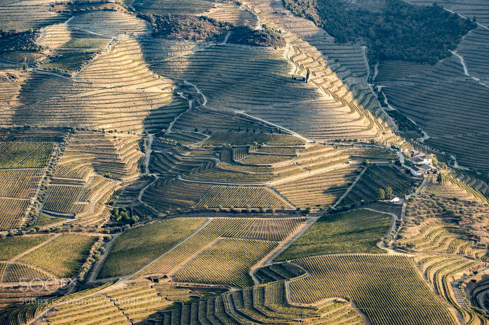Fujifilm X-T2 sample photo. Vineyards in the douro photography