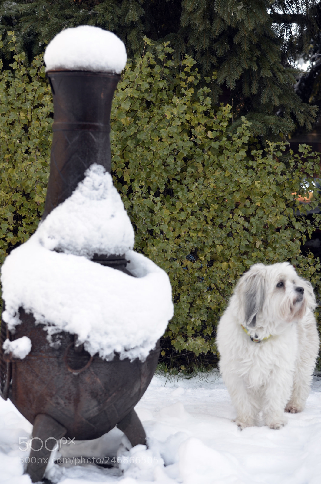 Nikon D5100 sample photo. 24k photography