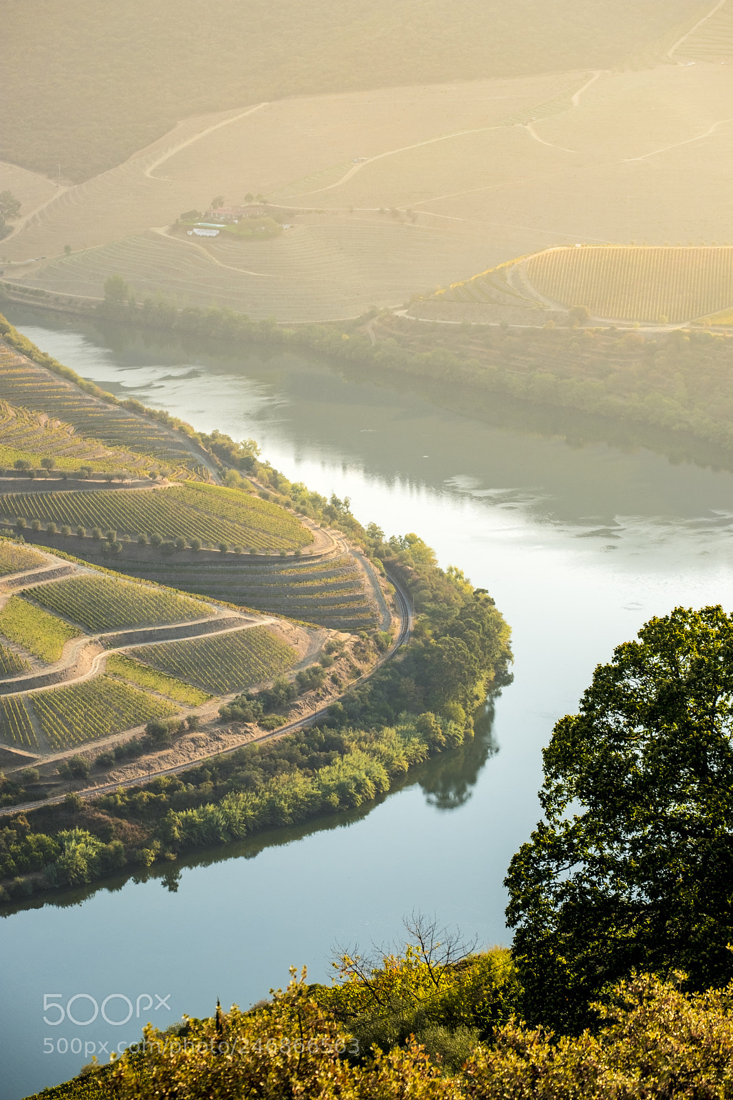 Fujifilm X-T2 sample photo. Vineyards in the douro photography