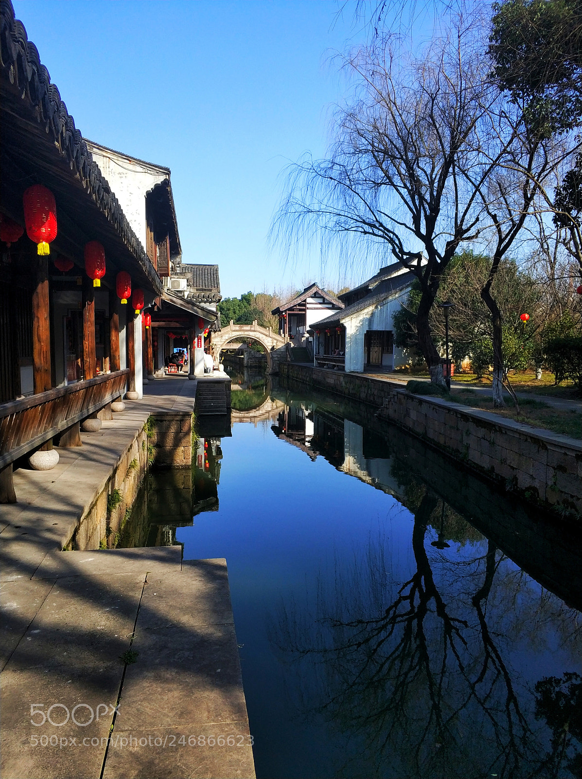 Xiaomi MI6 sample photo. Untitled photography
