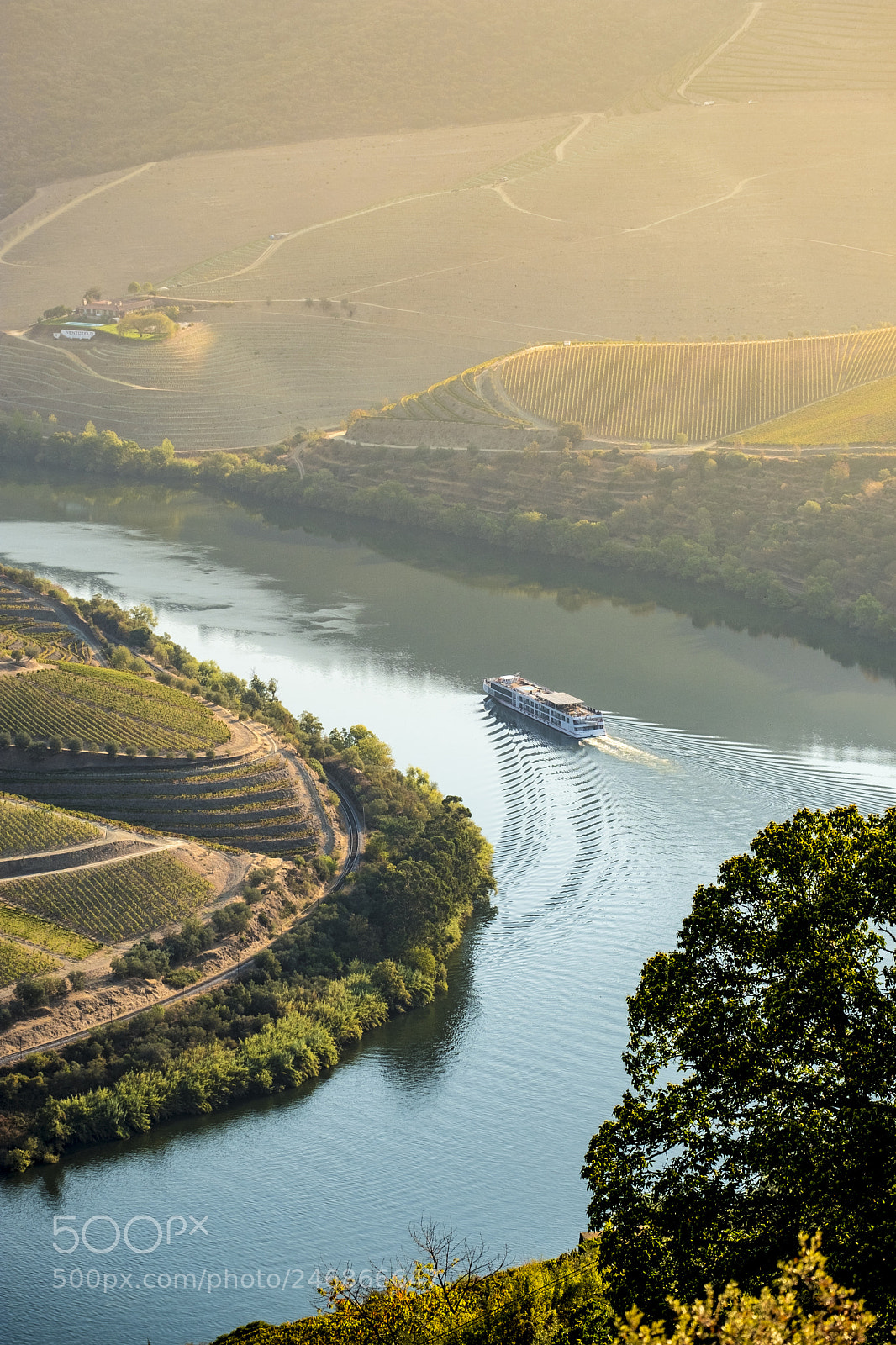 Fujifilm X-T2 sample photo. Vineyards in the douro photography
