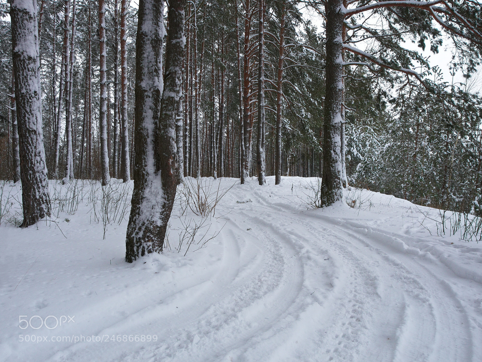 Panasonic Lumix DMC-G5 sample photo. Snow road in the photography