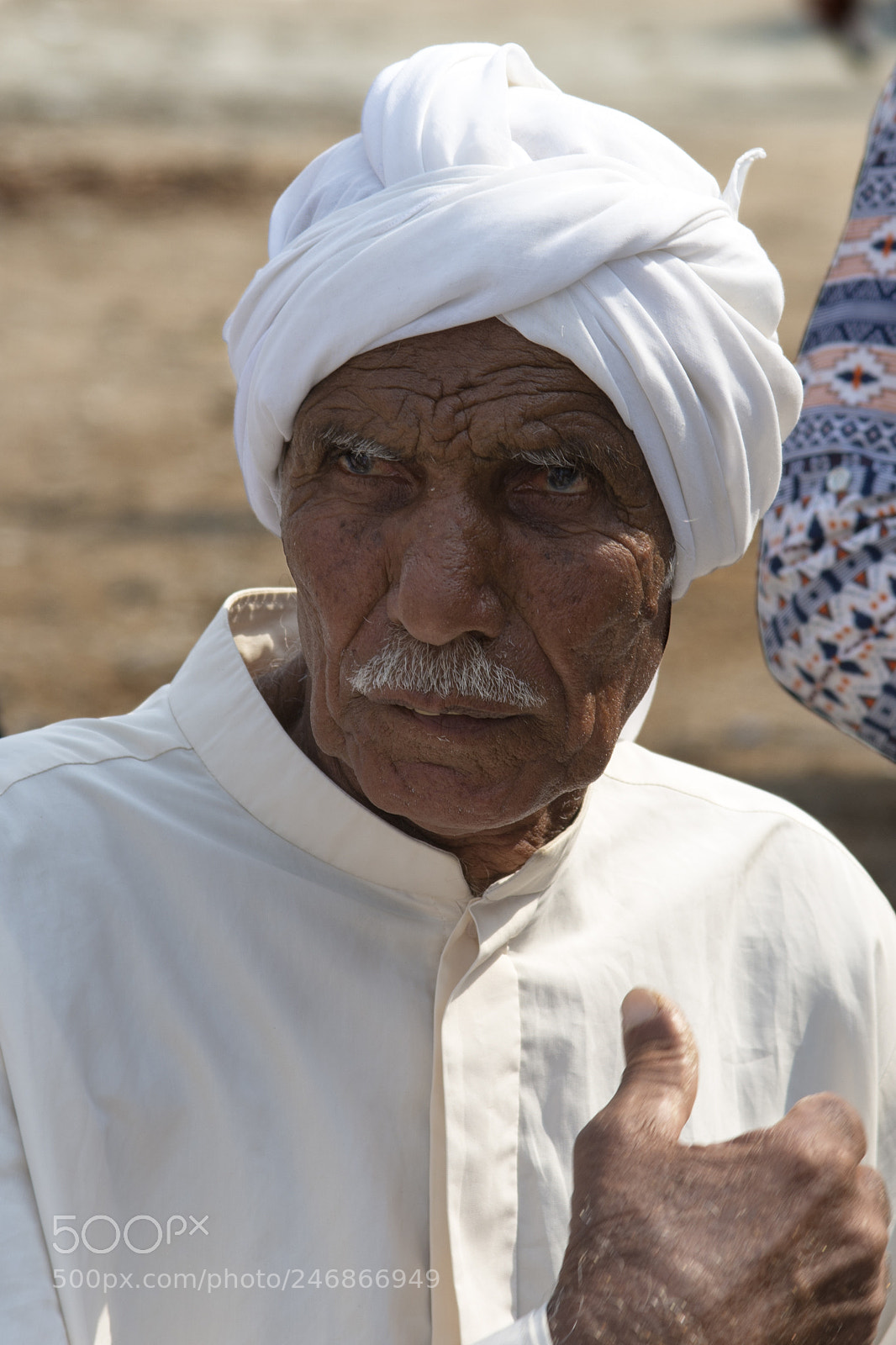 Nikon D7200 sample photo. The master of dhow photography