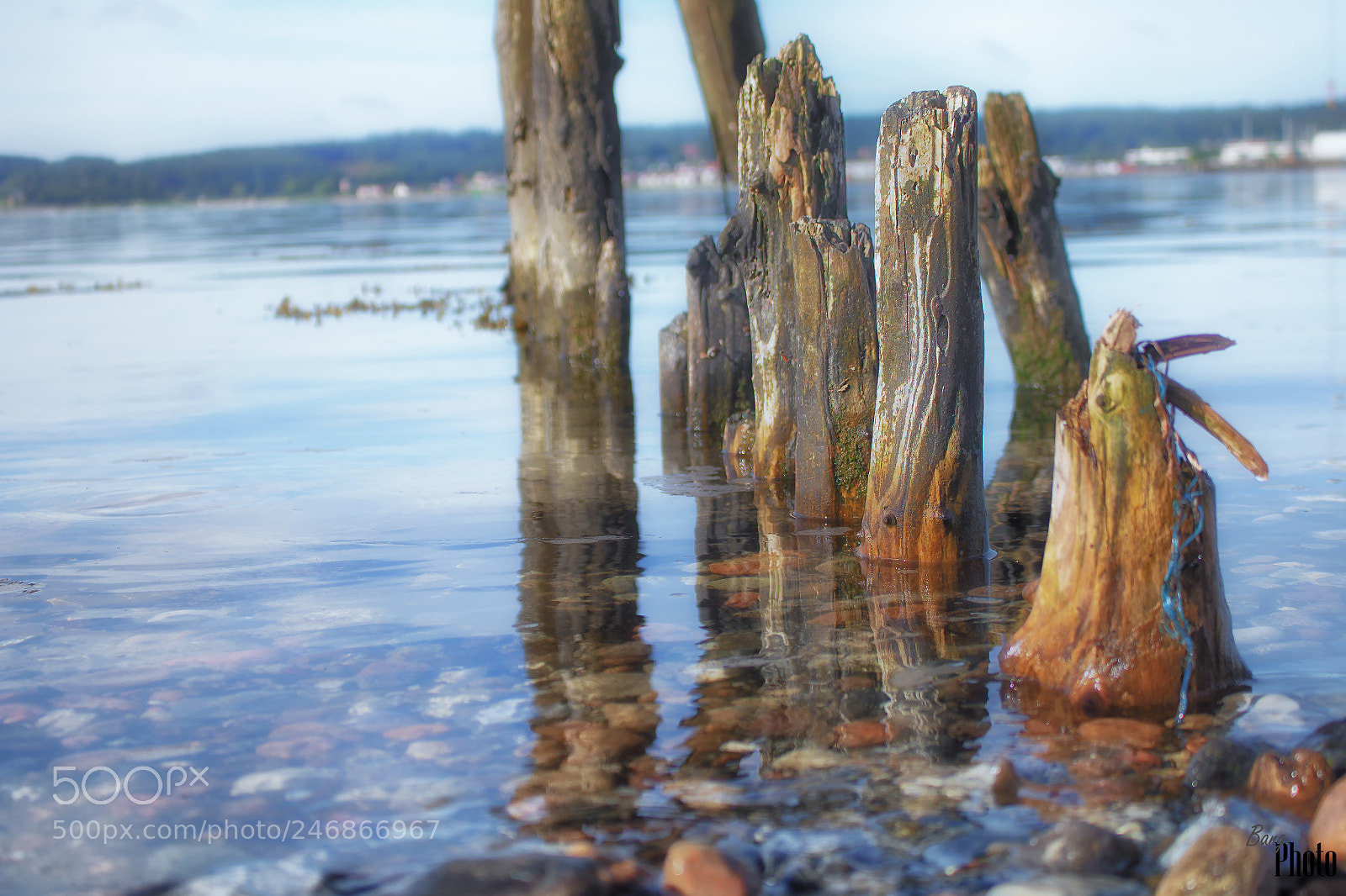 Canon EOS 100D (EOS Rebel SL1 / EOS Kiss X7) sample photo. Water reflections photography
