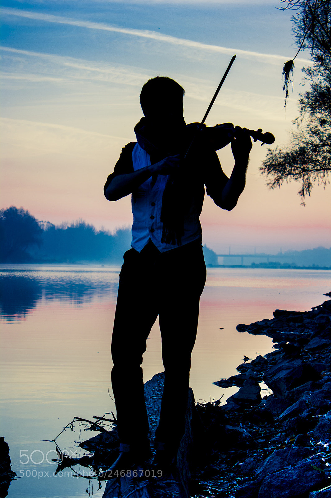 Canon EOS 1000D (EOS Digital Rebel XS / EOS Kiss F) sample photo. The violinist photography