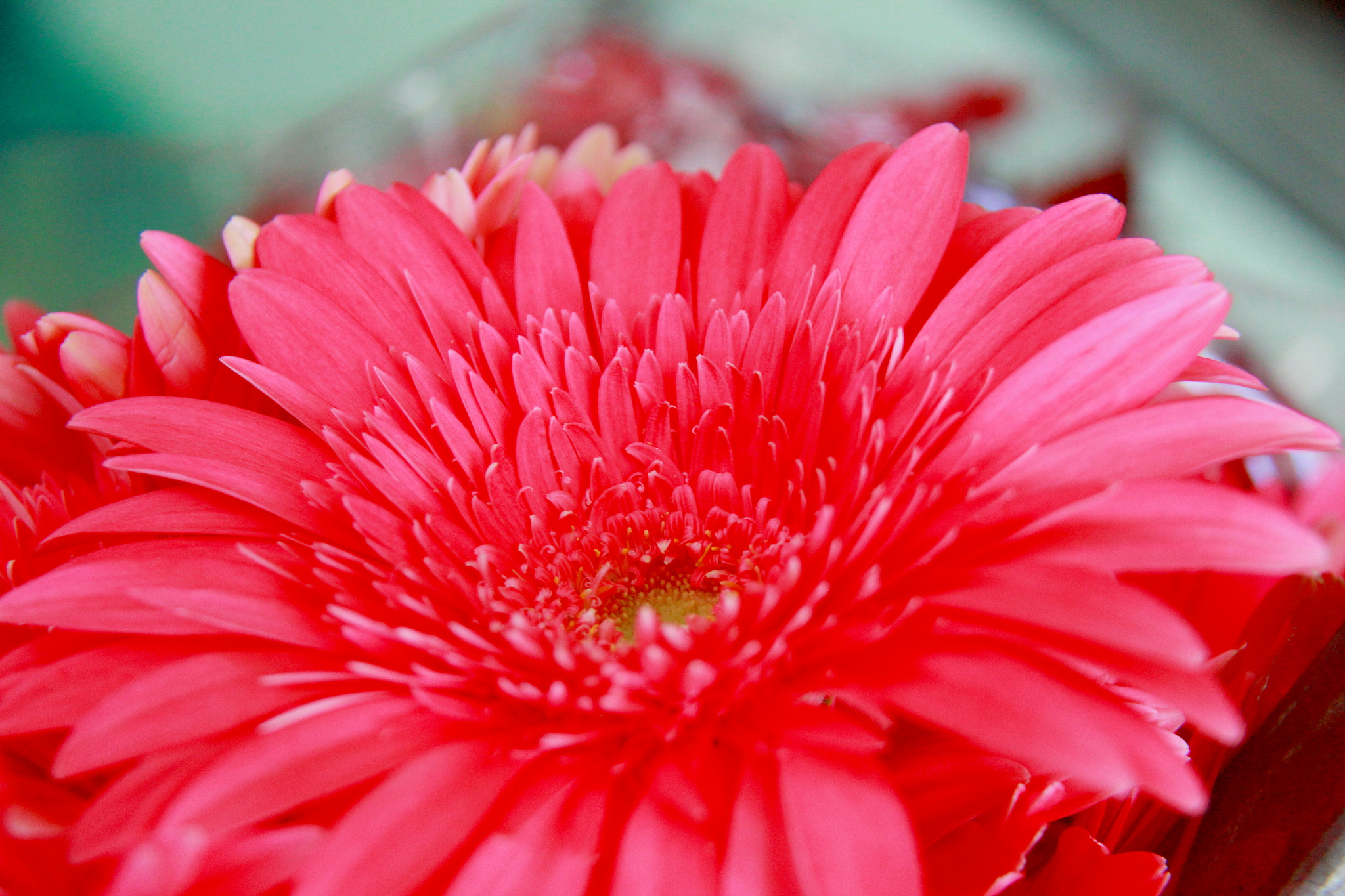 Canon EF-S 18-200mm F3.5-5.6 IS sample photo. Portofolio photography