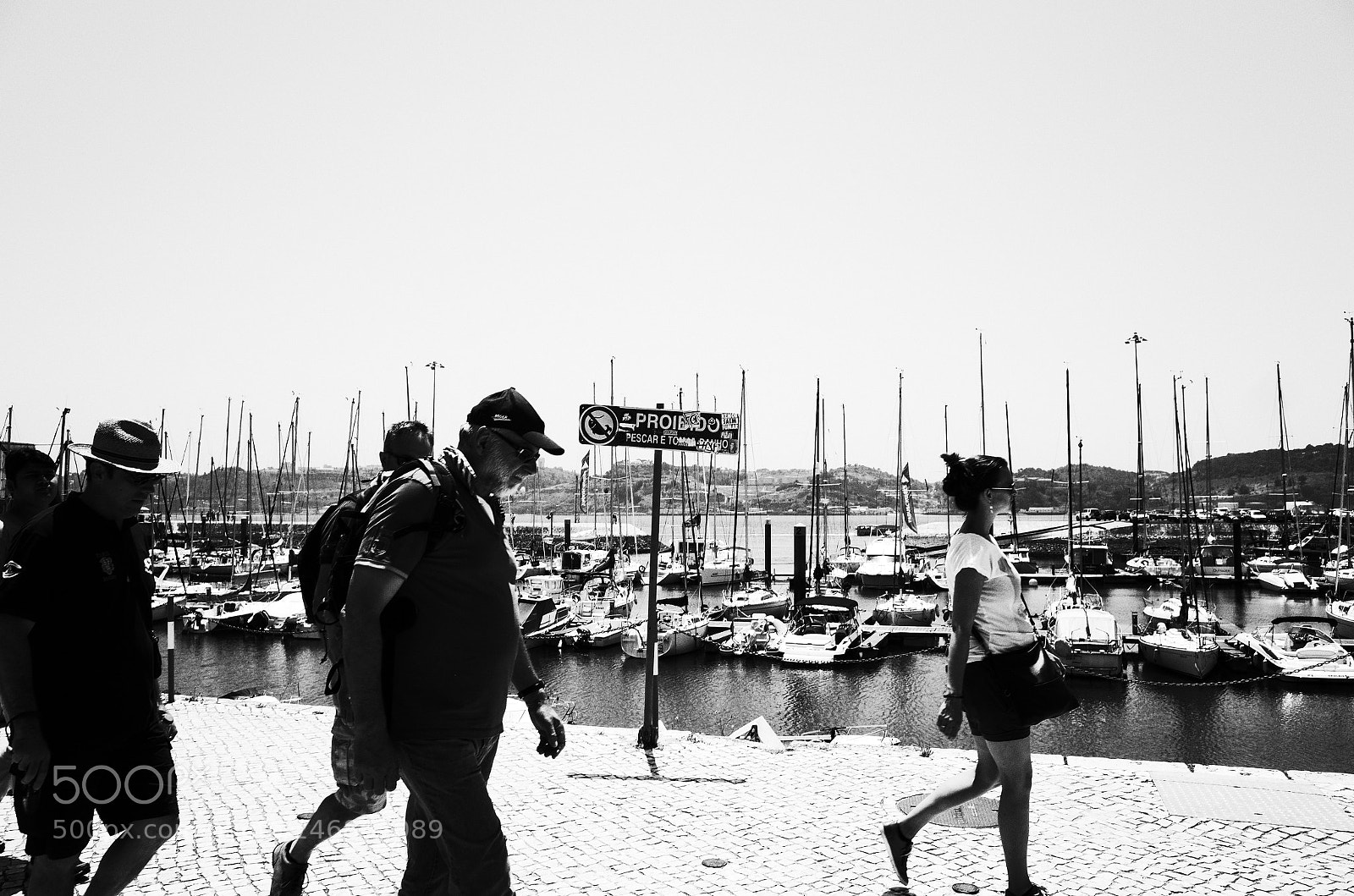 Ricoh GR sample photo. Dog day afternoon photography