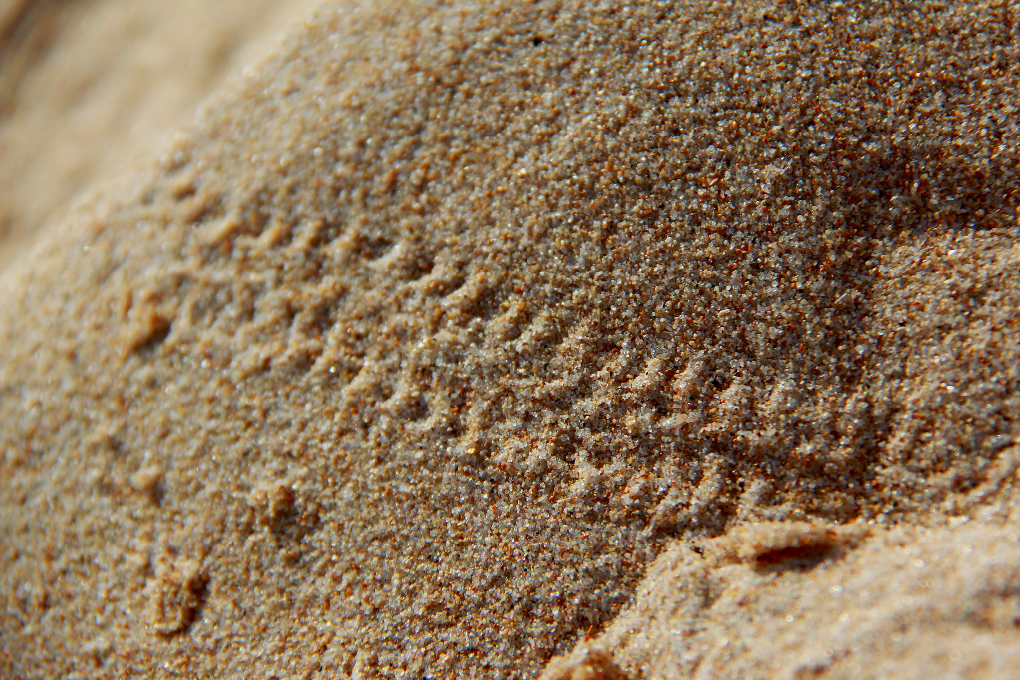 Canon EF-S 18-200mm F3.5-5.6 IS sample photo. Sand tracks made by a bug photography