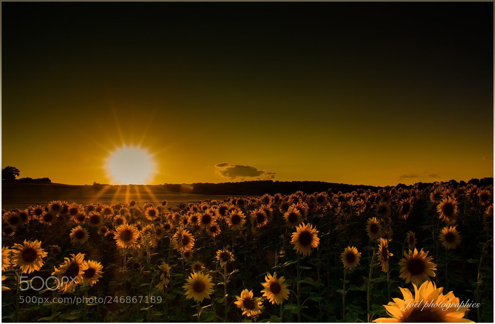 Nikon D810 sample photo. Sunset photography