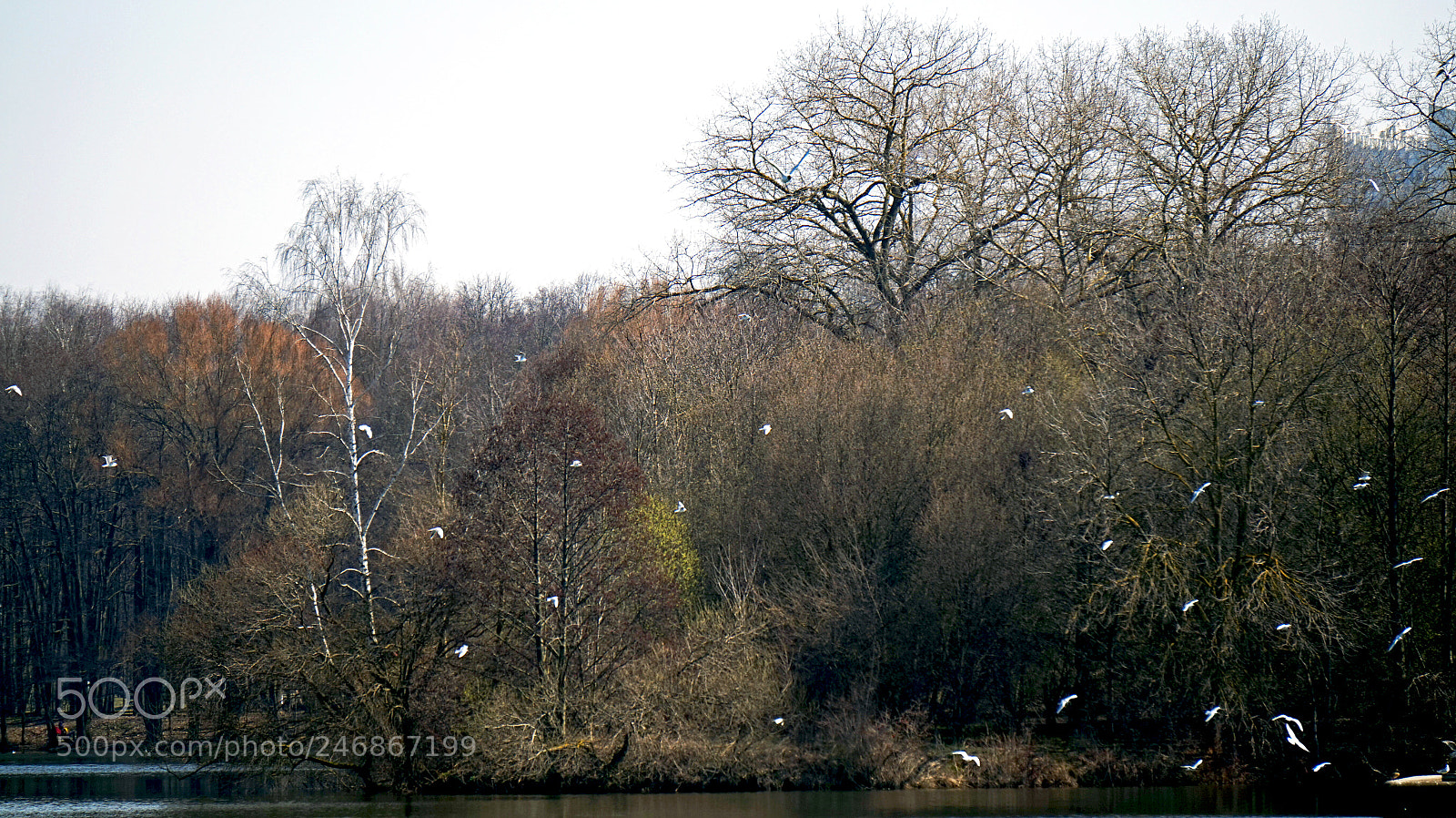 Sony Alpha a5000 (ILCE 5000) sample photo. City park and lake photography