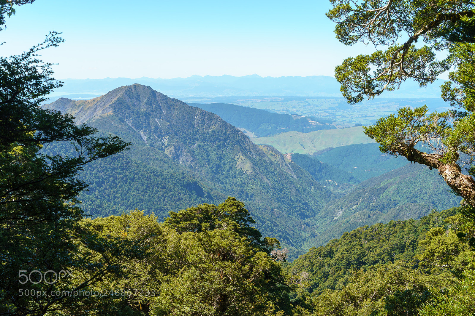 Sony a9 sample photo. View to the tasman photography