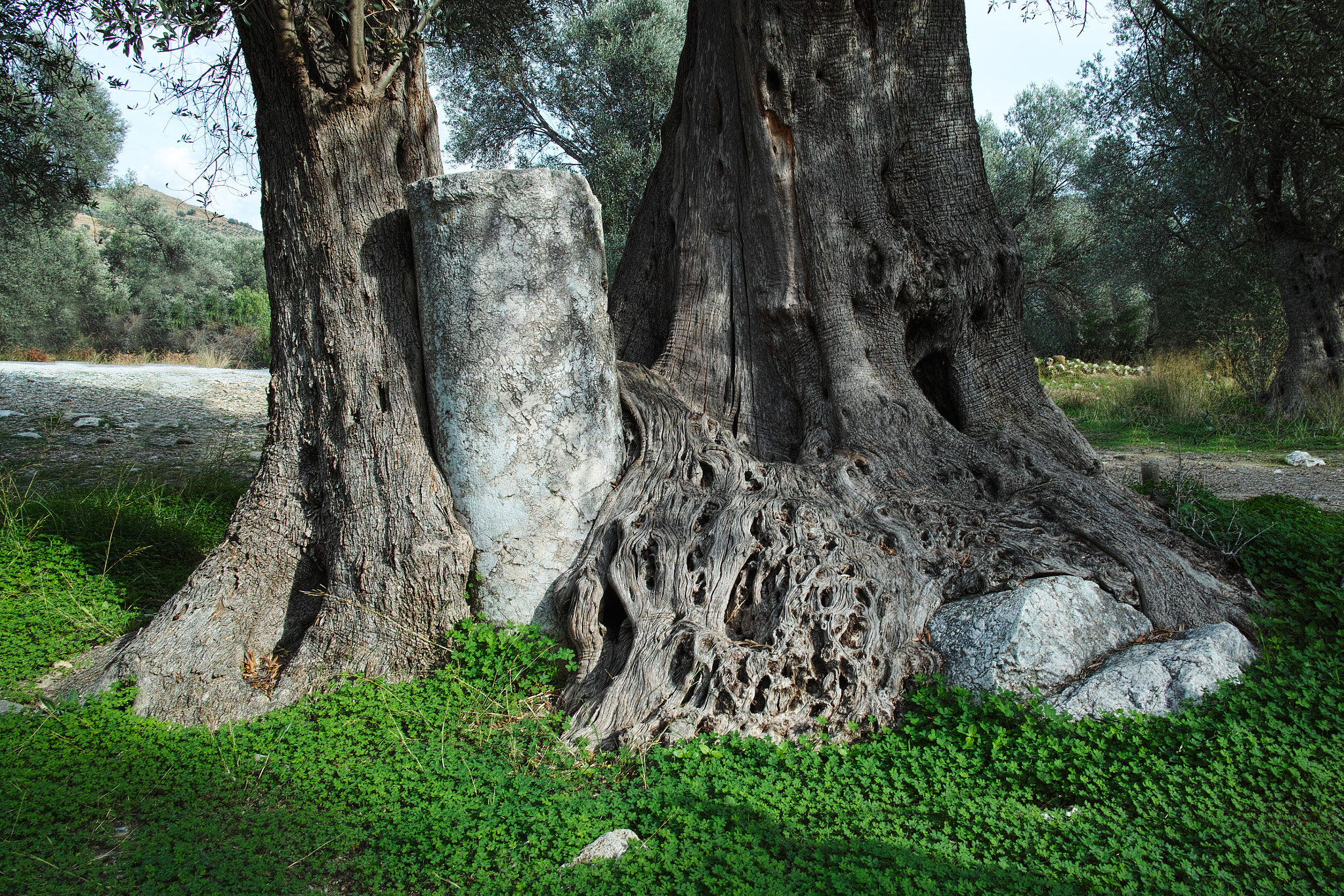 Sigma DP1 Merrill sample photo. Hold tight photography