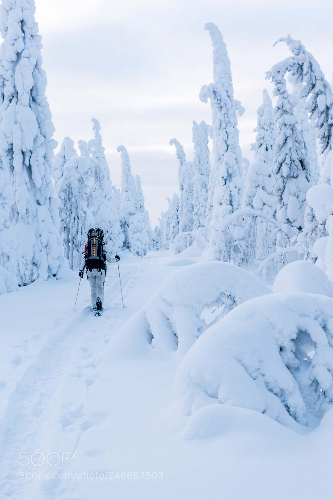 Nikon D5600 sample photo. Hiking photography