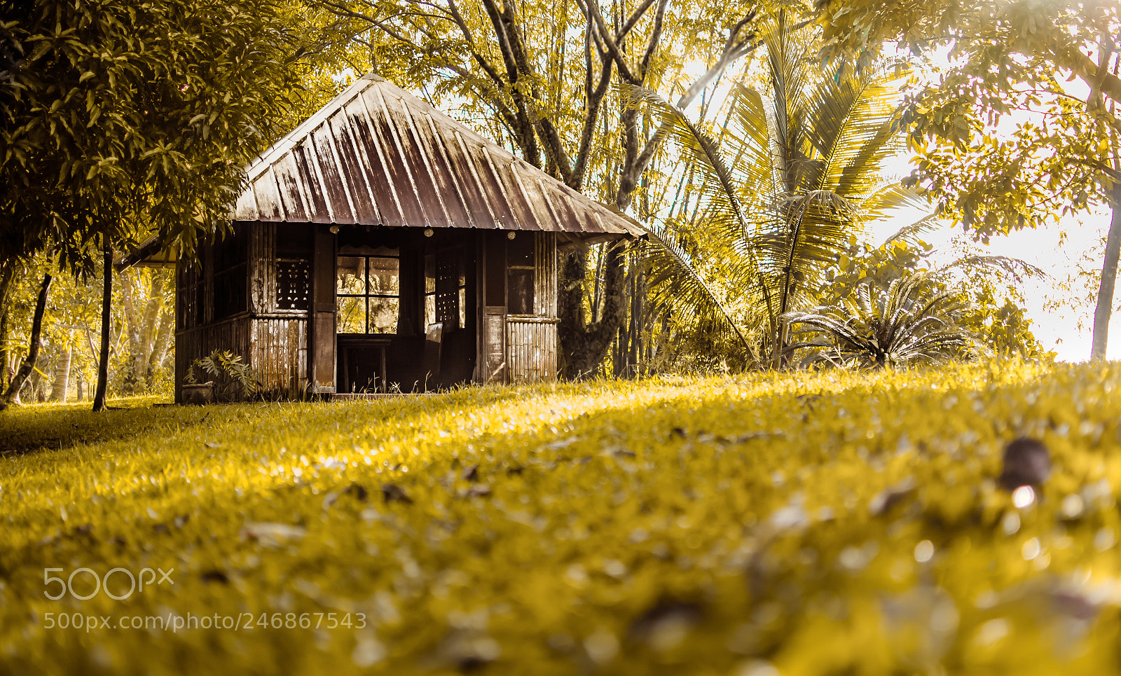 Nikon D5100 sample photo. Relaxing hut photography