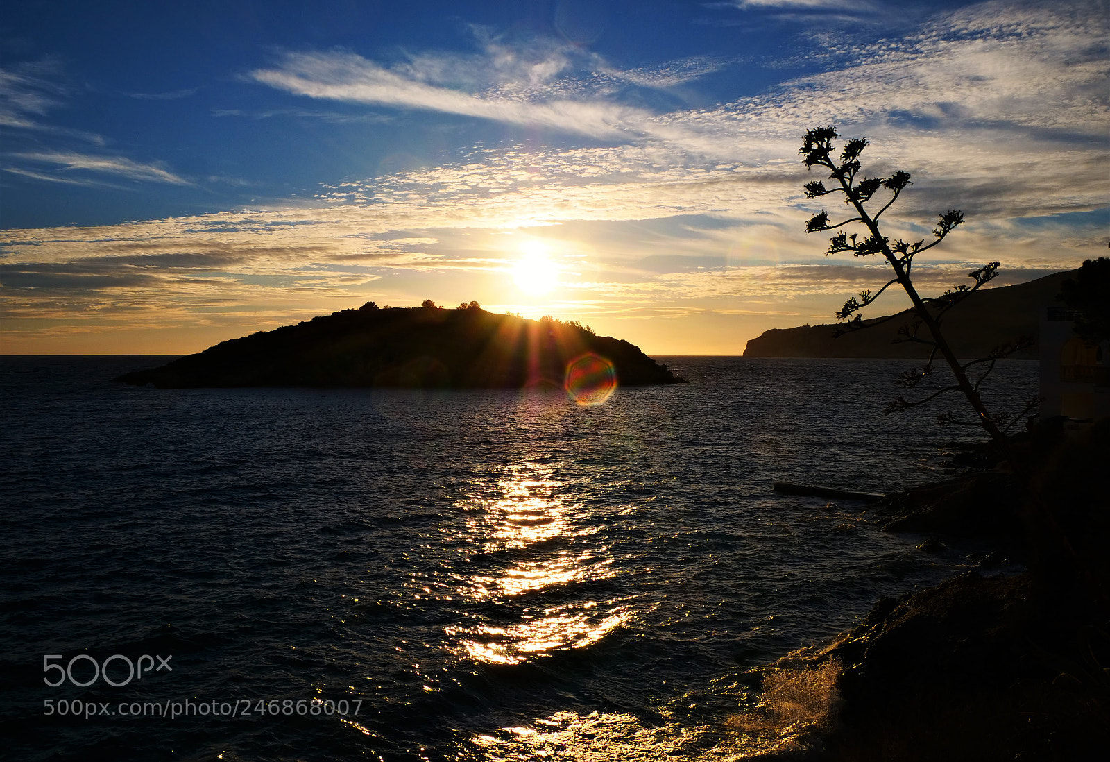 Panasonic Lumix DC-GH5 sample photo. Have a wonderful day! photography