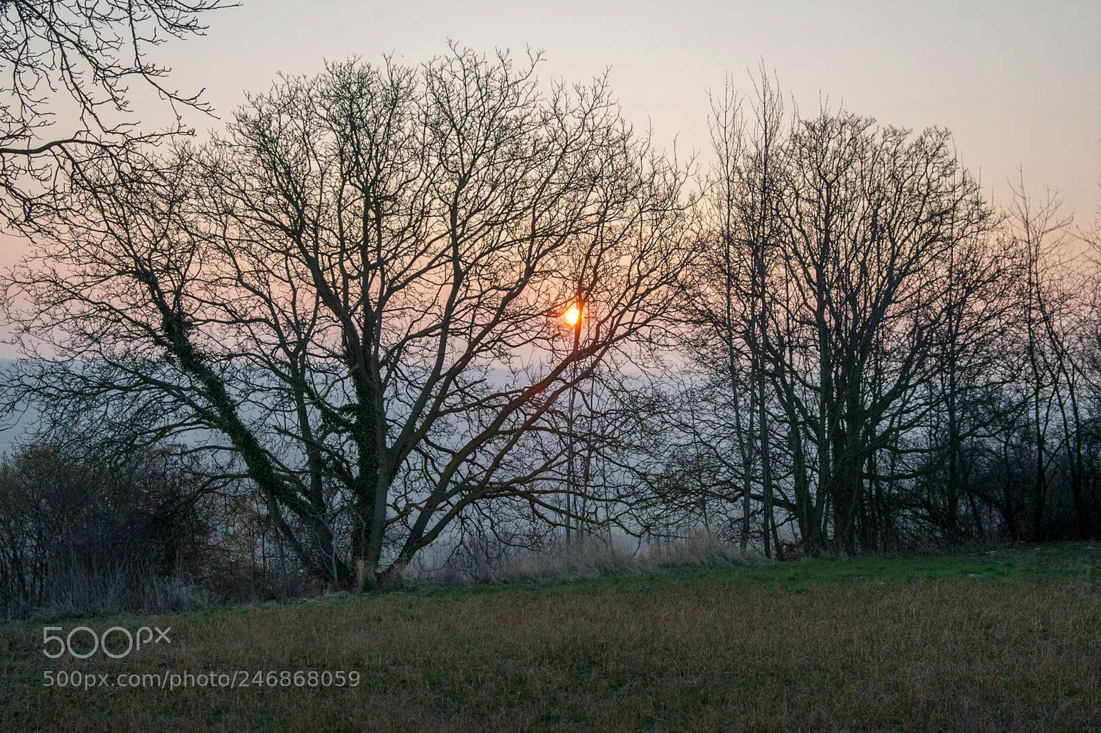 Nikon D700 sample photo. February morning photography