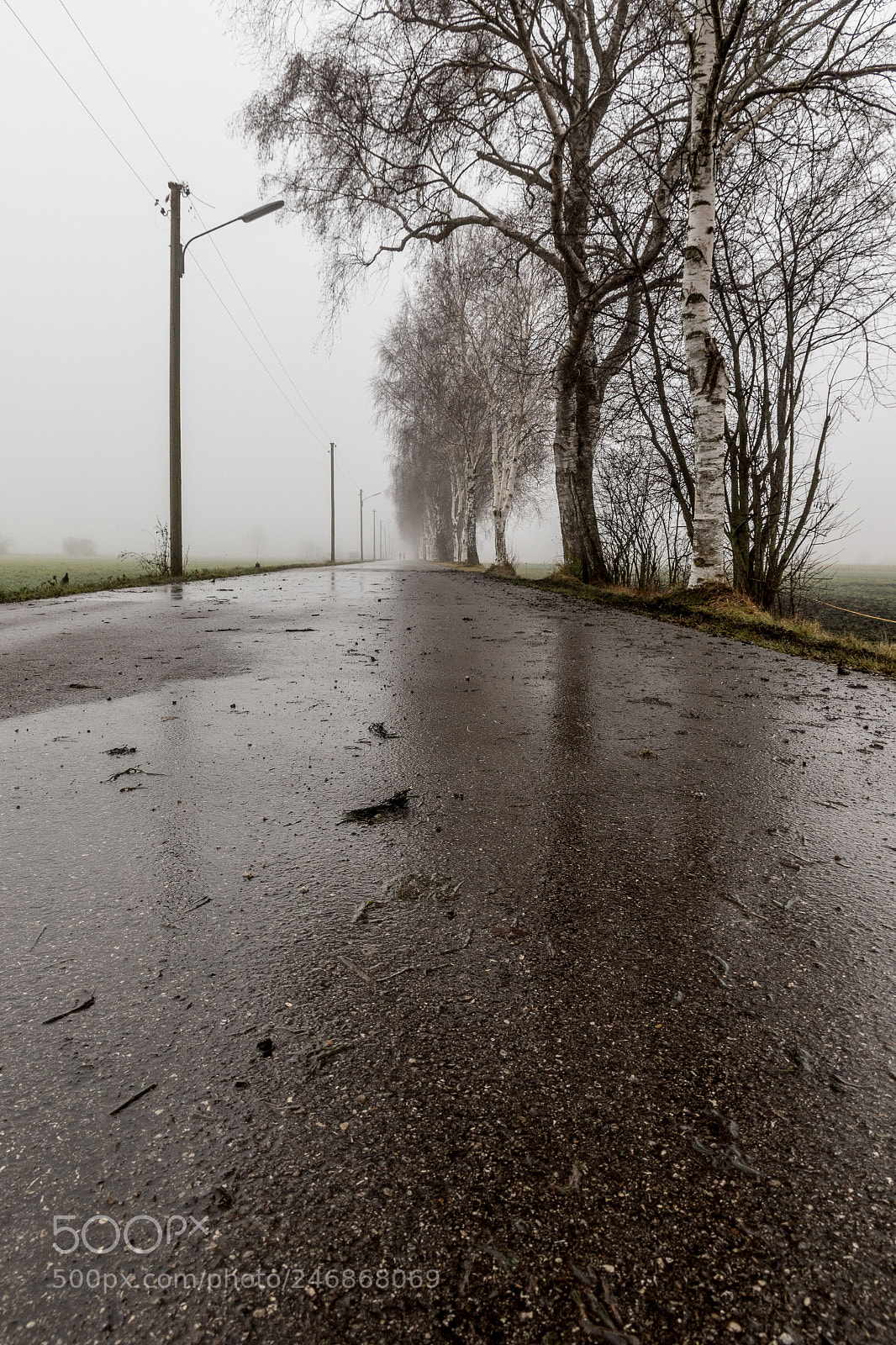 Canon EOS 7D Mark II sample photo. Nebliger morgen in puchheim photography