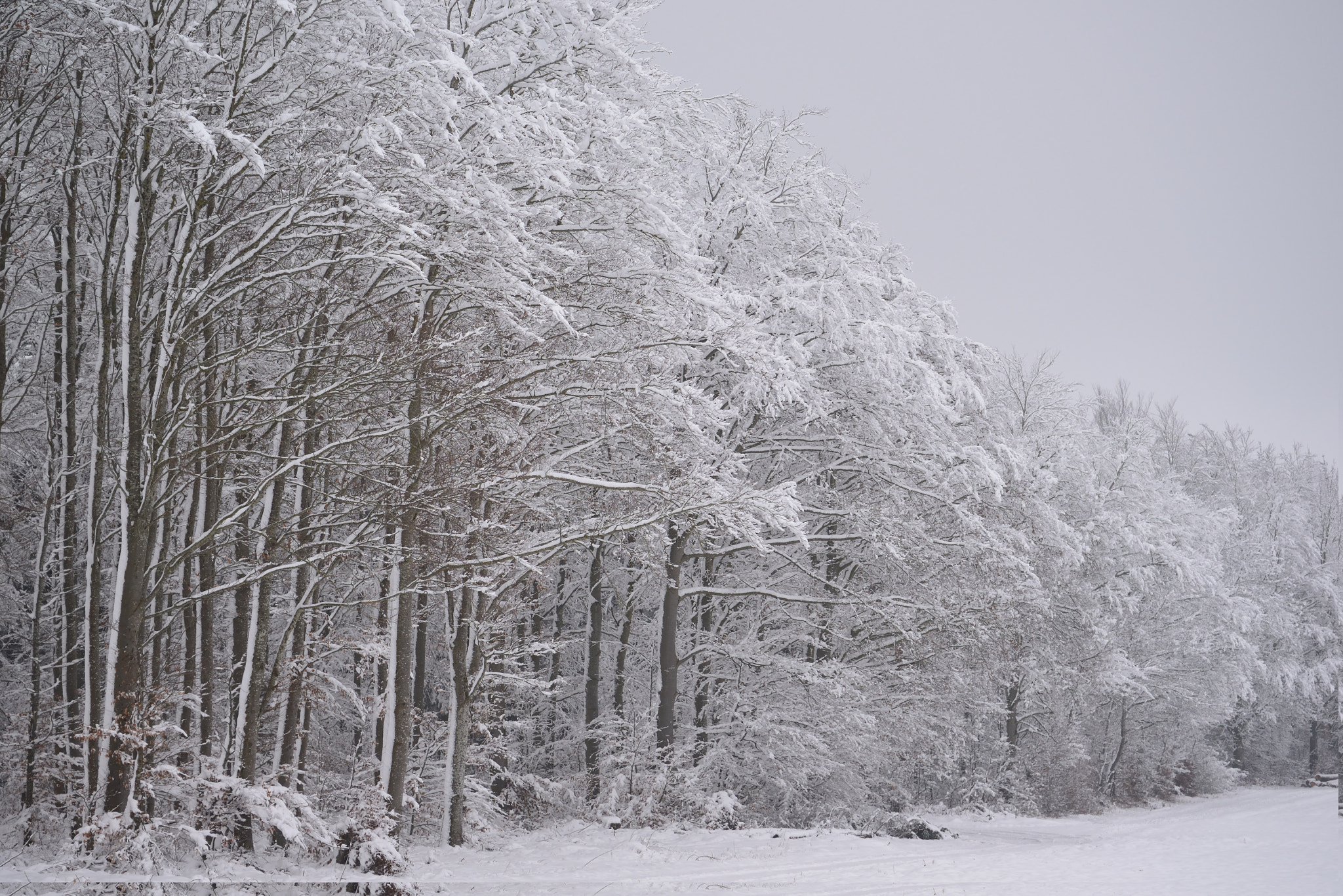 Nikon D610 sample photo. Eiszeit photography