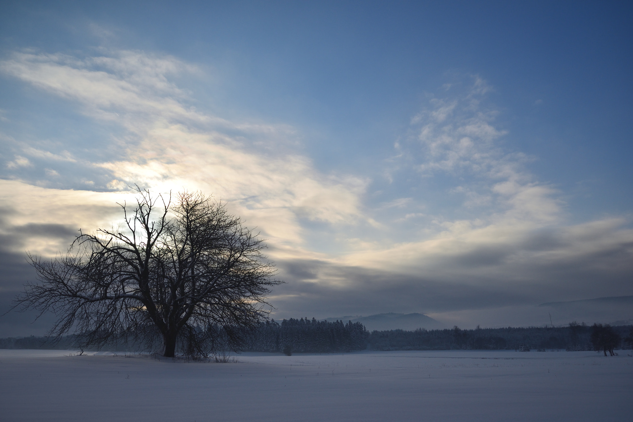 Nikon D610 sample photo. Wintermorgen photography