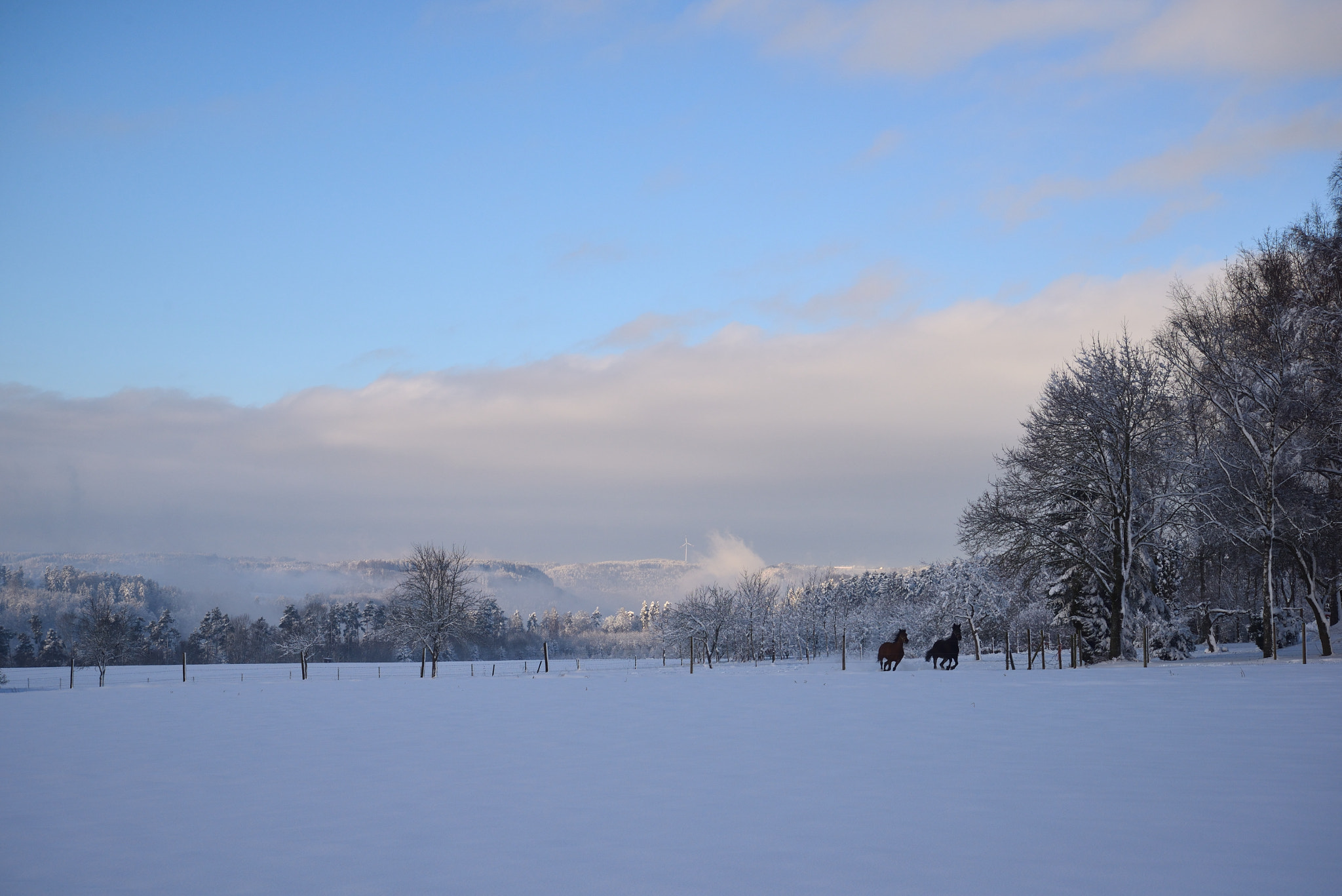 Nikon D610 sample photo. Wintermorgen photography