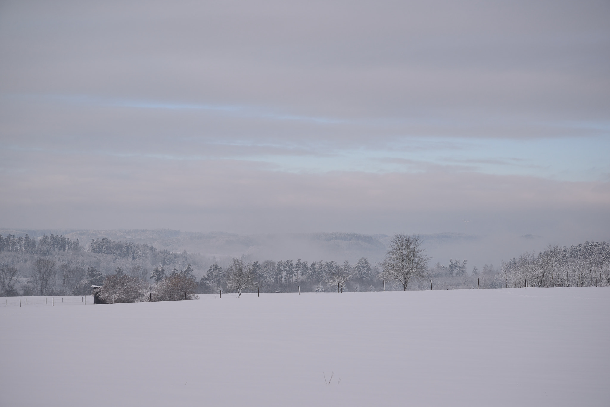 Nikon D610 sample photo. Wintermorgen photography