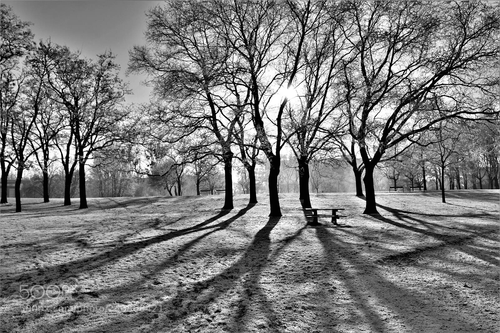 Fujifilm X-T10 sample photo. Licht und schatten photography