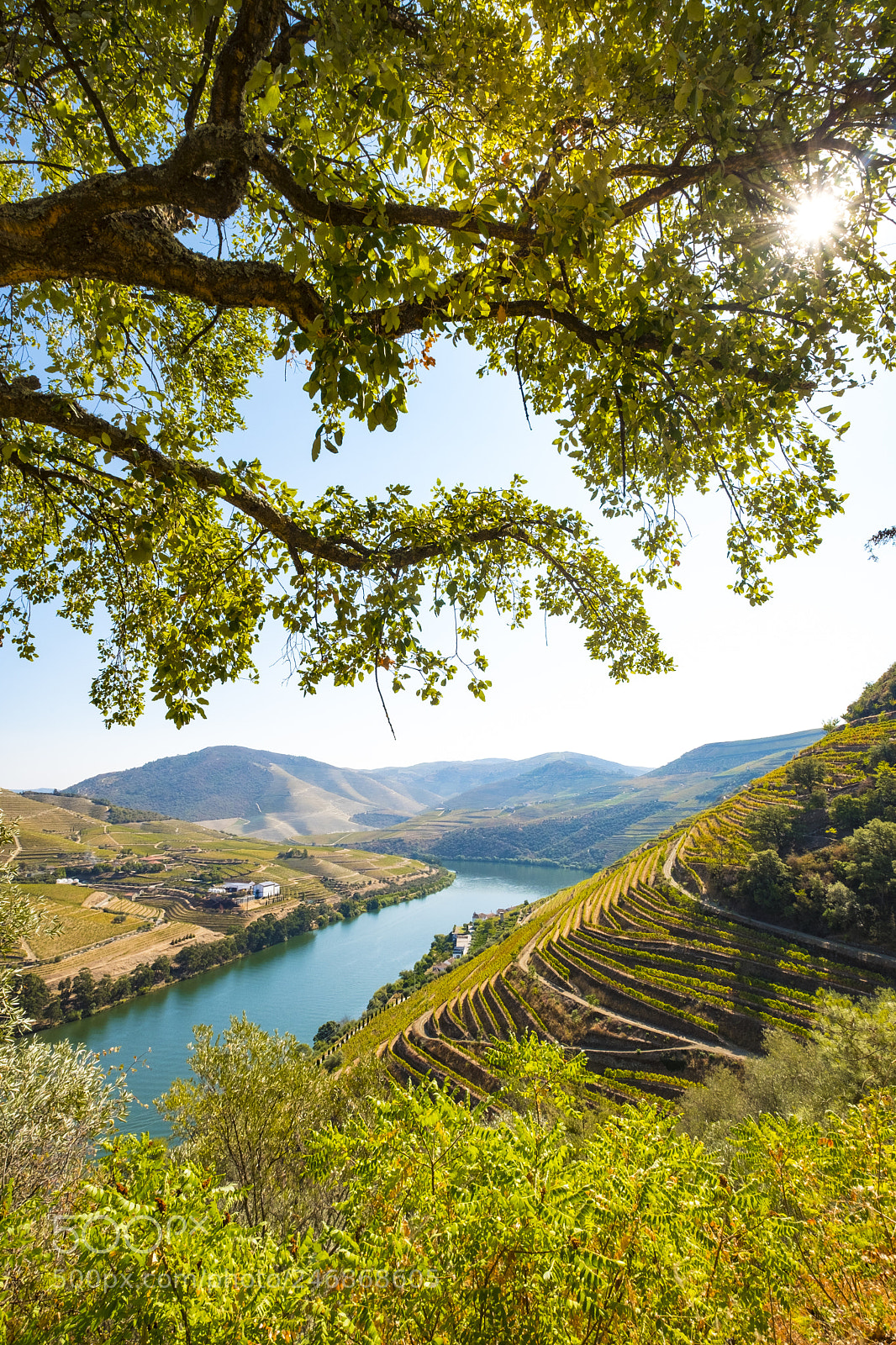 Fujifilm X-T2 sample photo. Landscape in the vineyards photography