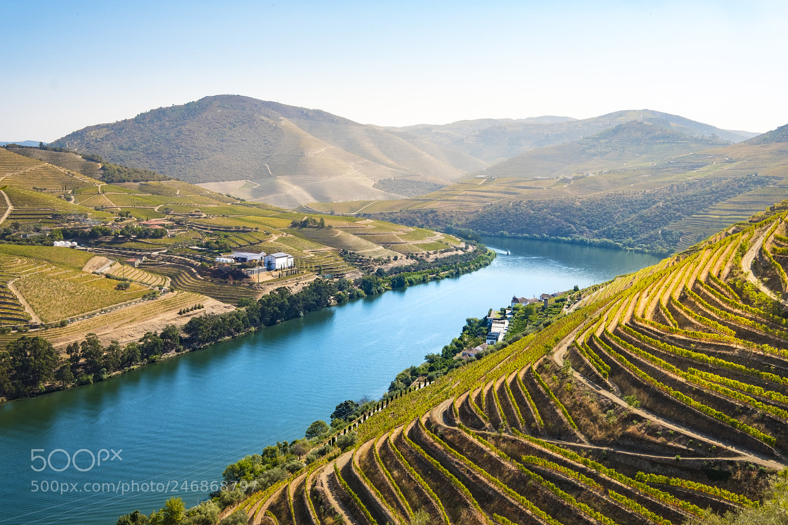 Fujifilm X-T2 sample photo. Landscape in the vineyards photography