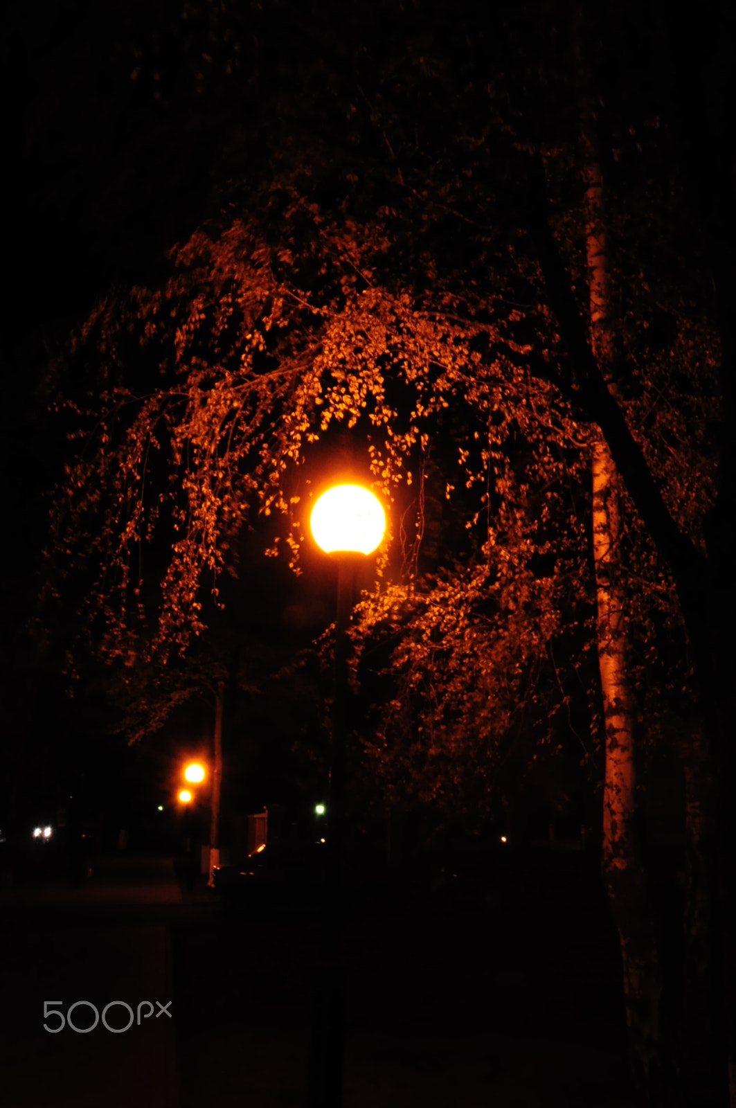 Nikon D5000 sample photo. The light in the darkness photography