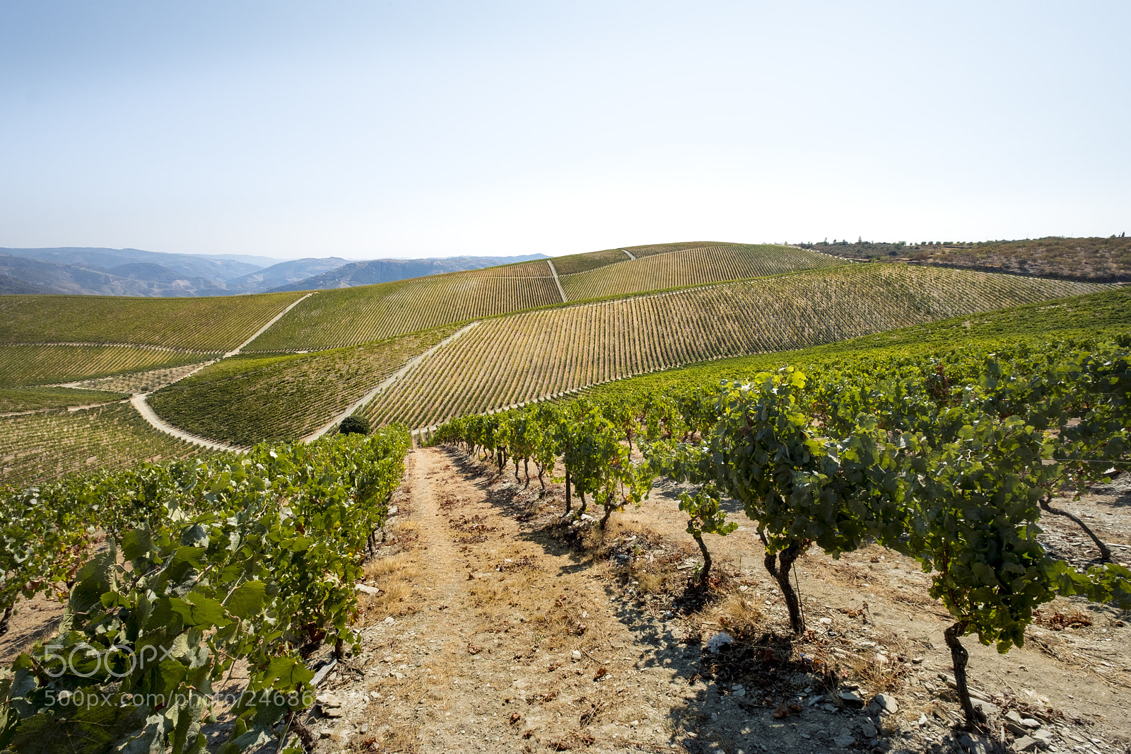 Fujifilm X-T2 sample photo. Landscape in the vineyards photography