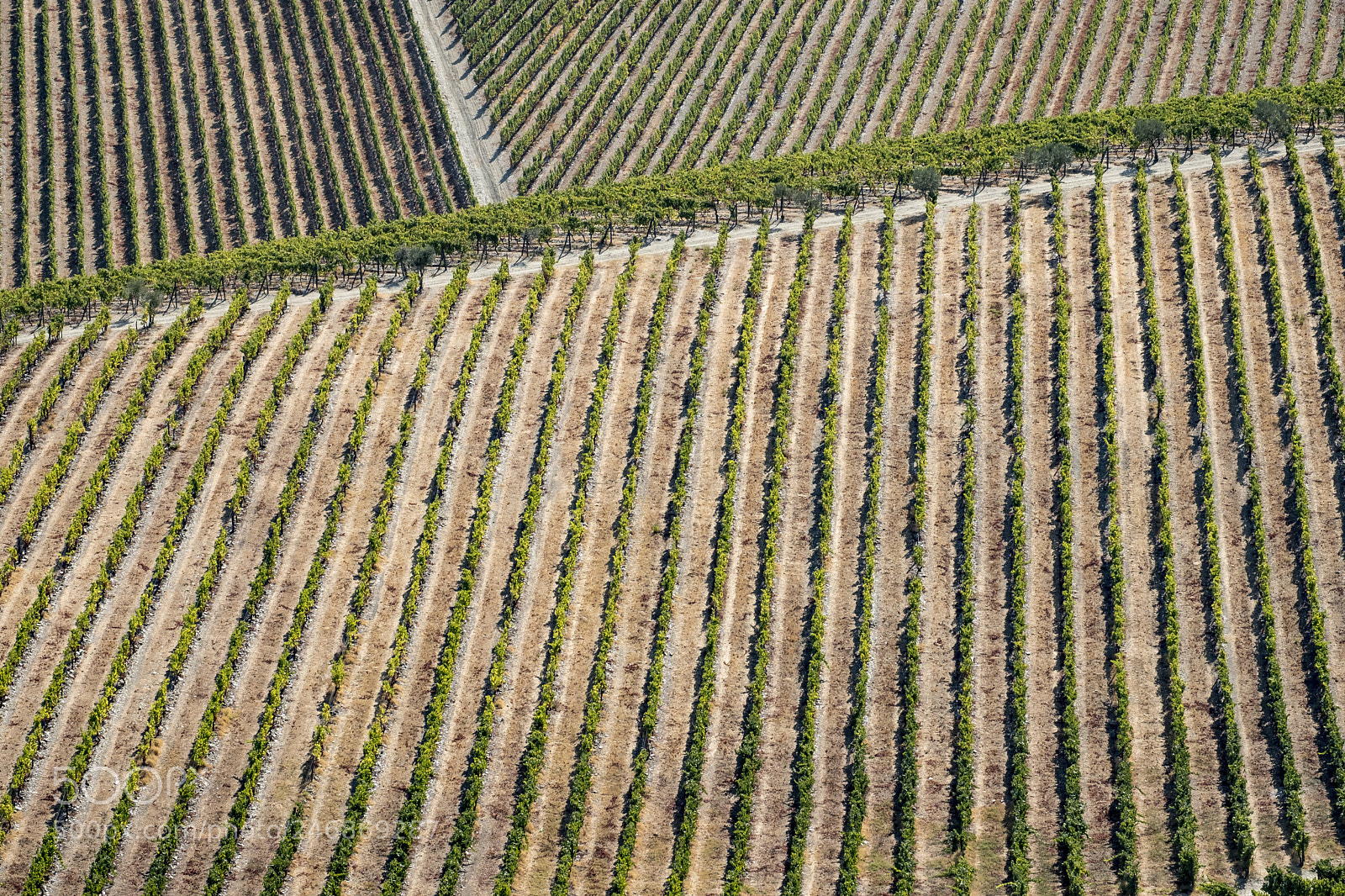 Fujifilm X-T2 sample photo. Landscape in the vineyards photography