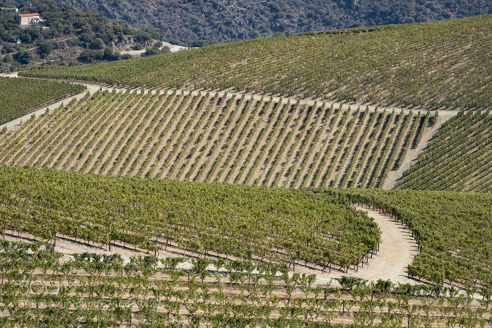Fujifilm X-T2 sample photo. Landscape in the vineyards photography