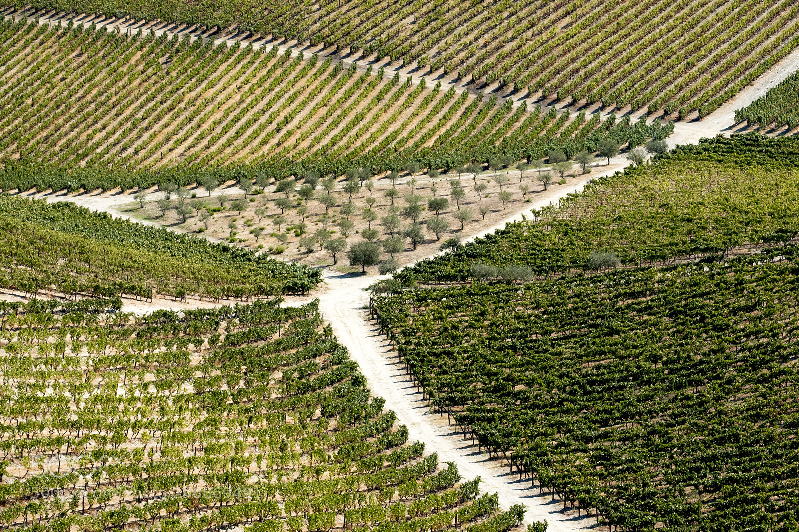 Fujifilm X-T2 sample photo. Landscape in the vineyards photography