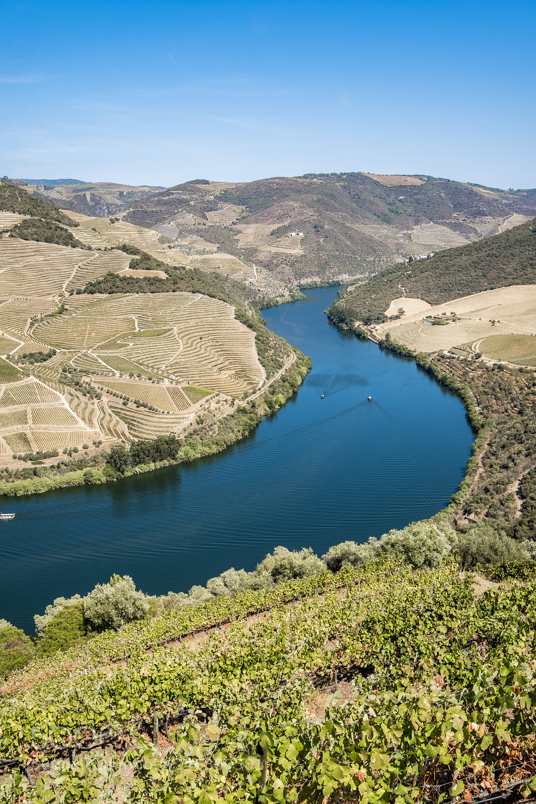 Fujifilm X-T2 sample photo. Landscape in the vineyards photography